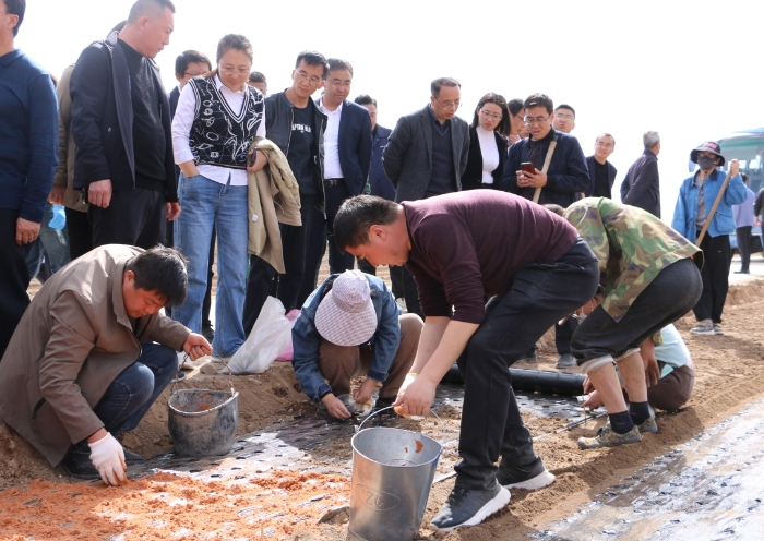 图为参训人员在首阳镇中药材种植基地现场观摩中药材标准化栽培流程